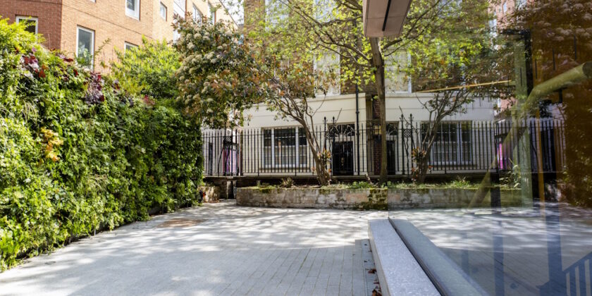 Case Study: How environments impact learning and development, with Sam Redman